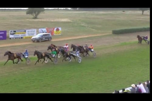 FILHIO DE LOU (Prodigious-Lola de Lou)