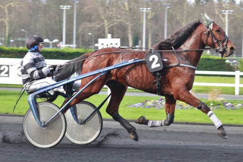 JUNINA DE LOU (Sam Bourbon-Lola de Lou)...