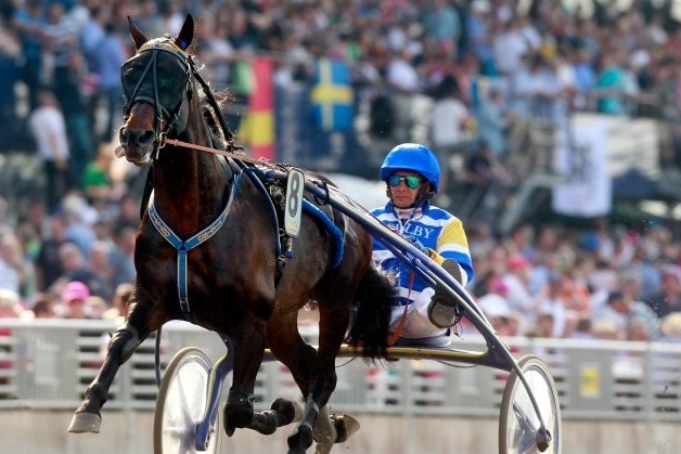 MELLBY GOOD (Going Kronos-Naomi de Lou)