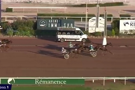 ELMAGNIFICO DE LOU (Prodigious-Prima dona de Lou)...