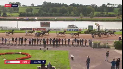 FALCO SACHA (Real de Lou- Nostalgique Sacha)