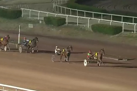 EL CAMINO DE LOU (Royal Dream- Saba du vivier)