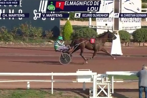 ELMAGNIFICO DE LOU (Prodigious-Prima dona de Lou)...