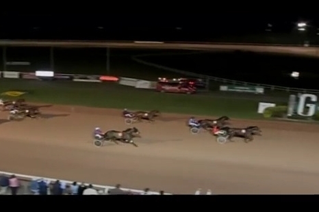 HACIENDA DE LOU (Niky-Venezia de Lou)