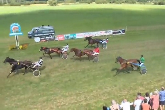 INZAGHI DE LOU ( Real de Lou-Ukraine du vivier)