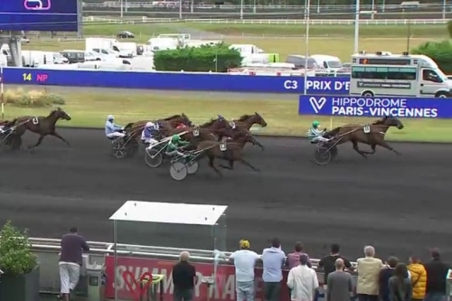 ELMAGNIFICO DE LOU (Prodigious-Prima dona de Lou)...