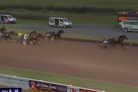 HENRIQUE DE LOU (Real de Lou-Star de Tembia)