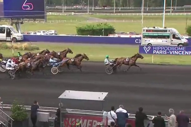 ELMAGNIFICO DE LOU (Prodigious-Prima dona de Lou)