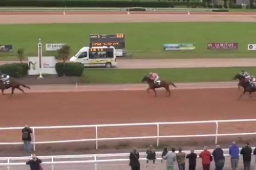 GIRLY D'HUON (Real de Lou-Udiana de Lou)