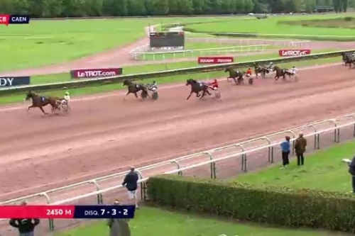 FILHIO DE LOU (Prodigious-Lola de Lou)  ...