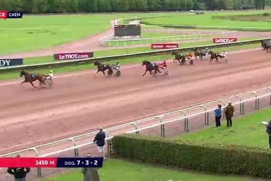 FILHIO DE LOU (Prodigious-Lola de Lou)  ...