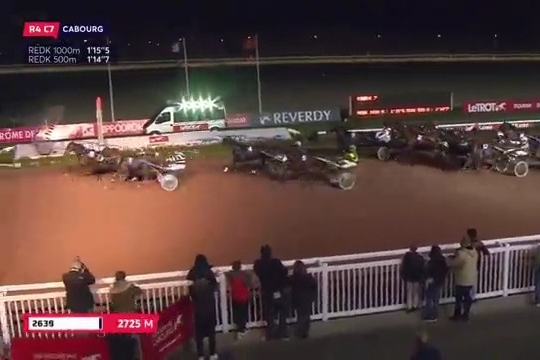 FILHIO DE LOU (Prodigious-Lola de Lou)