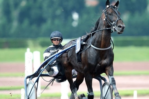 JAMAICA DE LOU (Real de Lou-Unora de Lou)