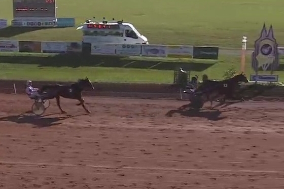 FILHIO DE LOU (Prodigious-Lola de Lou)