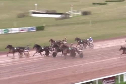 IMANOLO DE LOU (Booster winner-Star de tembia)