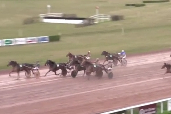 IMANOLO DE LOU (Booster winner-Star de tembia)