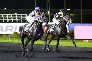 HENRIQUE DE LOU ( Real de Lou-Star de Tembia)...