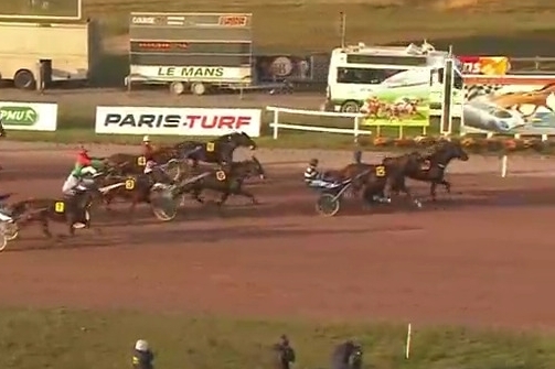 FILHIO DE LOU (Prodigious-Lola de Lou)...