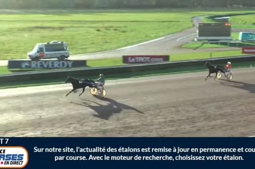 JOKO DE LOU (Real de Lou - Carla de Lou)...