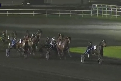 FALCO SACHA (Real de Lou-Nostalgique Sacha)