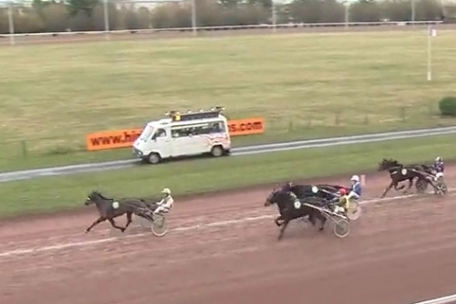 REAL DE LOU (Jag de bellouet-Kooka de Lou)