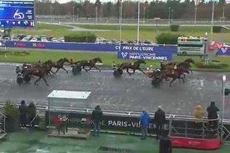 ELMAGNIFICO DE LOU (Prodigious-Prima dona de Lou)