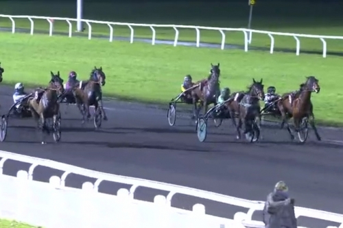 HACIENDA DE LOU (Niky-Venezia de Lou)