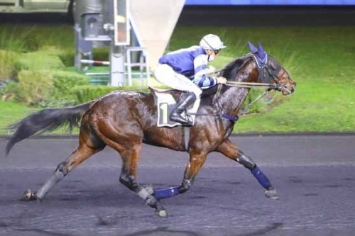 INSHORE ( Real de Lou -Beauté winner).