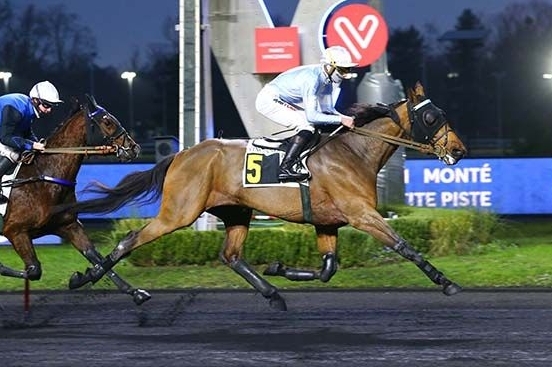 REAL DE LOU (Jag de bellouet-Kooka de Lou)