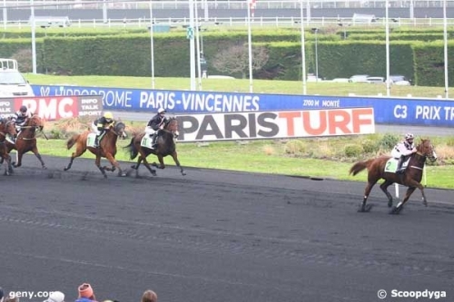 FALCO SACHA (Real de Lou- Nostalgique Sacha)