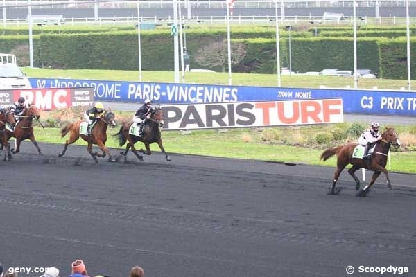 FALCO SACHA (Real de Lou- Nostalgique Sacha)