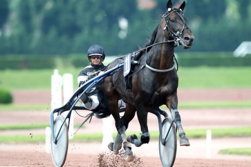 Laurent ABRIVARD et les siens...