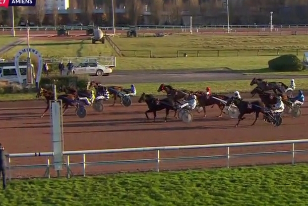 FILHIO DE LOU (Prodigious-Lola de Lou)...