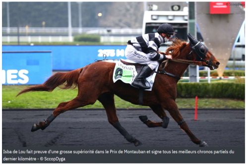 ISBA DE LOU (Love you-Saba du vivier)