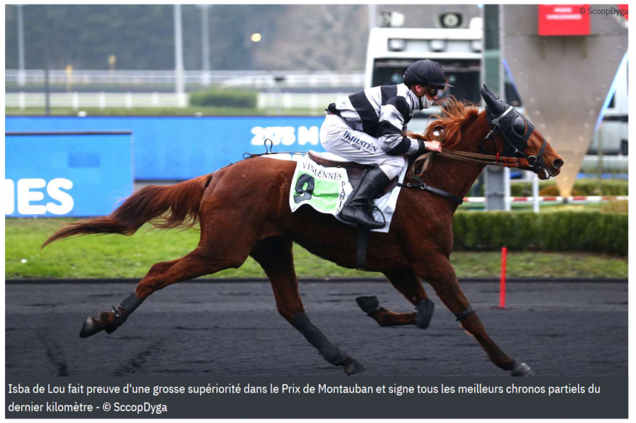 ISBA DE LOU (Love you-Saba du vivier)