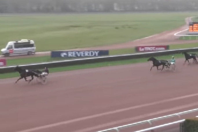 JUST GIGOLO DE LOU (Un amour d'haufor - Sierra de Lou)