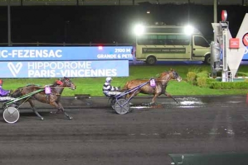 FILHIO DE LOU (Prodigious-Lola de Lou)...