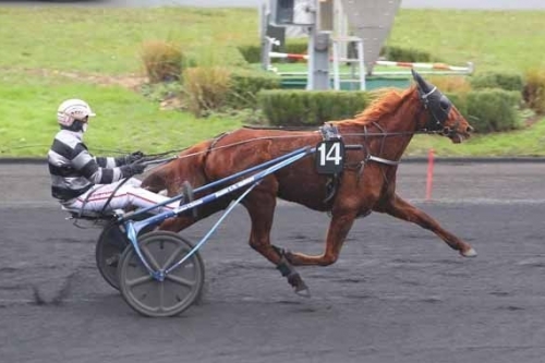 ISBA DE LOU (Love you-Saba du vivier)