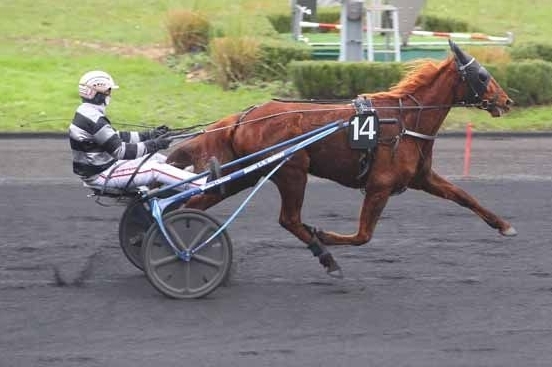 ISBA DE LOU (Love you-Saba du vivier)..