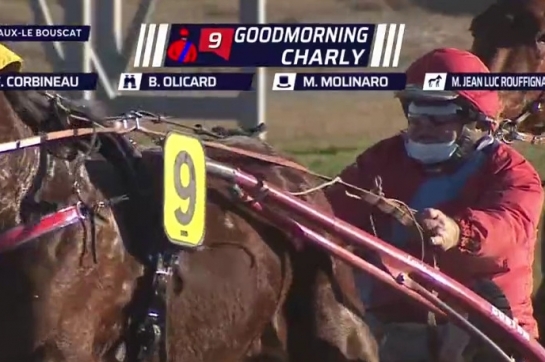 GOODMORNING CHARLY (Real de Lou-Soria Charly)