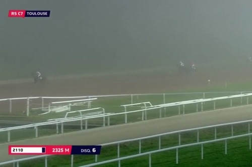 GIORGIO DE LOU (Real de Lou-Venezia de Lou)