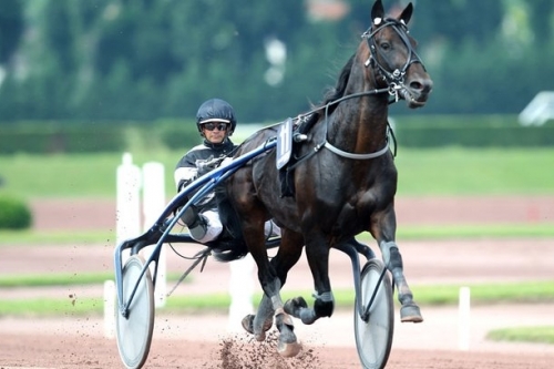 REAL DE LOU (Jag de bellouet-Kooka de Lou)...