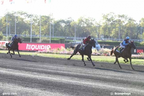 ERMINE DU LUDE (Real de Lou-Reine des sables)