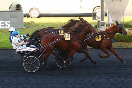 ISBA DE LOU (Love you-Saba du vivier)..