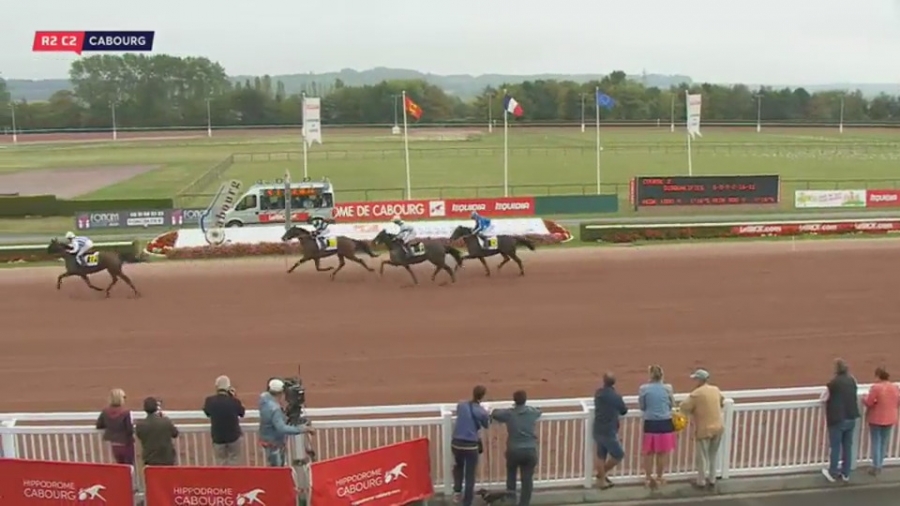 GRACIOSA DE LOU (Real de Lou- Belle de tembia)