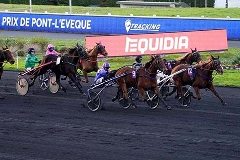 HIGUAIN DE LOU (Love you-Saba du vivier)...