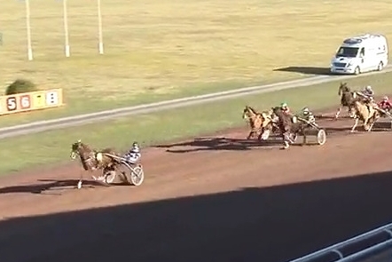 FILHIO DE LOU (Prodigious-Lola de Lou)...