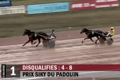 JUNON DE LOU (Real de Lou-Saba du vivier)...