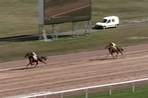 GIORGIO DE LOU (Real de Lou-Venezia de Lou)