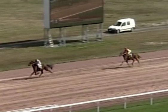 GIORGIO DE LOU (Real de Lou-Venezia de Lou)